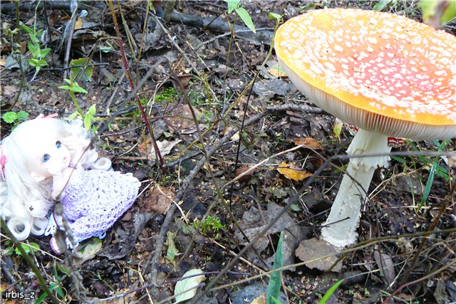 Осенняя сказка. Часть 1. (PukiFee Ante Ариэтти, PukiFee Bonnie Ариэль) | Бэйбики Осенняя сказка. Часть 1. (PukiFee Ante Ариэтти, PukiFee Bonnie Ариэль)