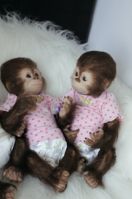 Развеселая компания (или мини-зоопарк)! Куклы реборн Вишни Виктории