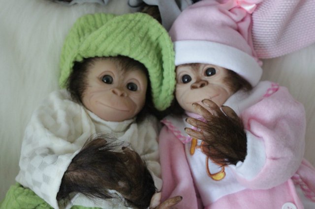 Развеселая компания (или мини-зоопарк)! Куклы реборн Вишни Виктории