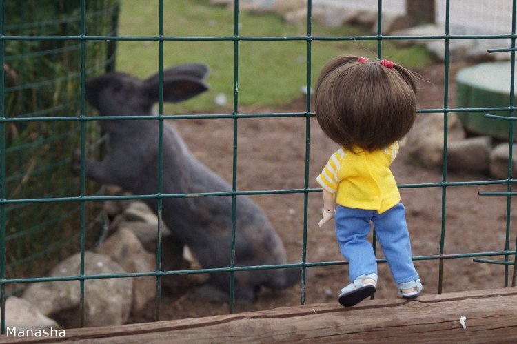 Как Майка в зоопарк ходила. pukiFee Ante Fairyland | Бэйбики Как Майка в зоопарк ходила. pukiFee Ante Fairyland