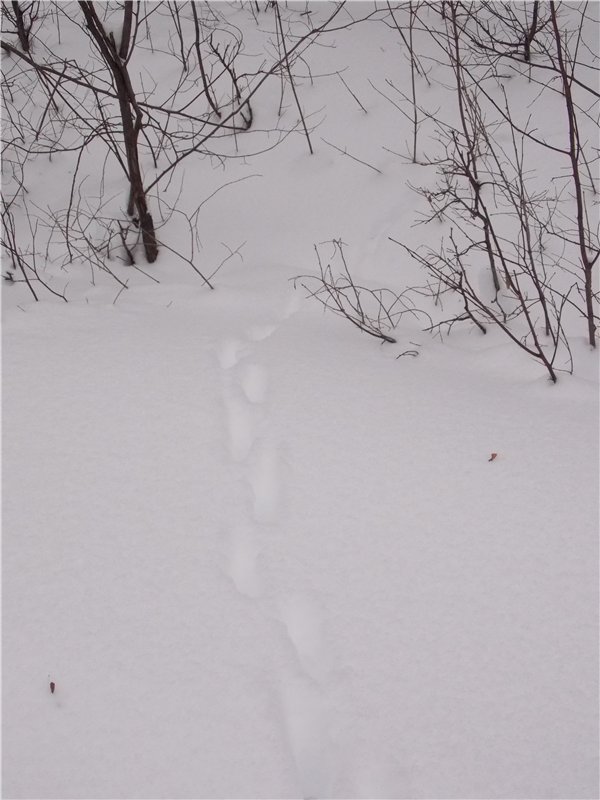 Тропинки Куш - Тау или Варваркины выходные