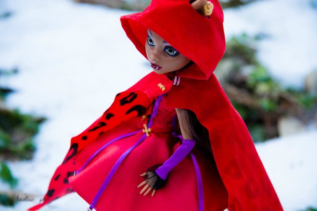 Сказочная волчица. Кукла Монстер Хай (фото 10)