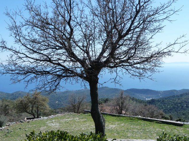 Кусочки моей Греции — Болталка и разговоры обо всем: жизнь