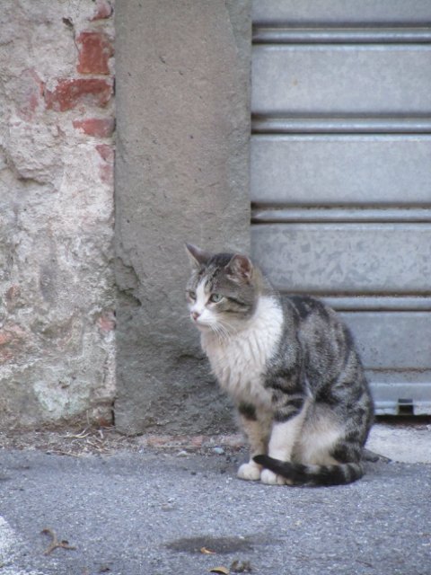 "Моя Италия". Часть 3 - Виареджо, Лукка, Пиза
