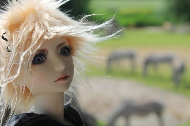 Сказка о Мишеле, BJD часть 2 (фото 10)