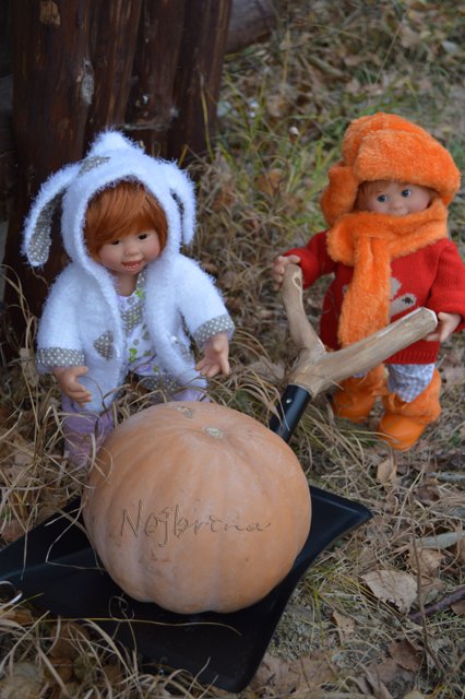 Неугомонные. Вихтели Rosemarie Anna Muller (фото 10)