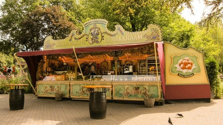 Новогодние рецепты: Голландские пончики - Oliebollen (фото 4)