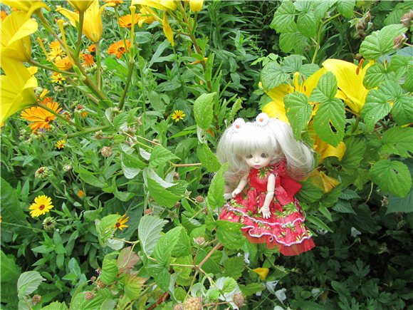 Дюймовочка. Мэгги в саду | Бэйбики Дюймовочка. Мэгги в саду — Куклы Fairyland (ФэйриЛэнд): BJD (БЖД)