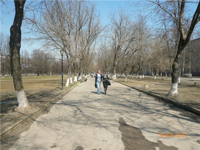 Сосенка и Тосенька — Разные куклы BJD (БЖД): редкие бренды (фото 2)