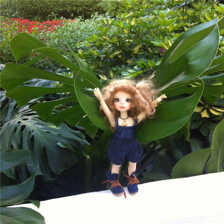 Большое путешествие маленькой девочки. Kaye Wiggs, Nutmeg