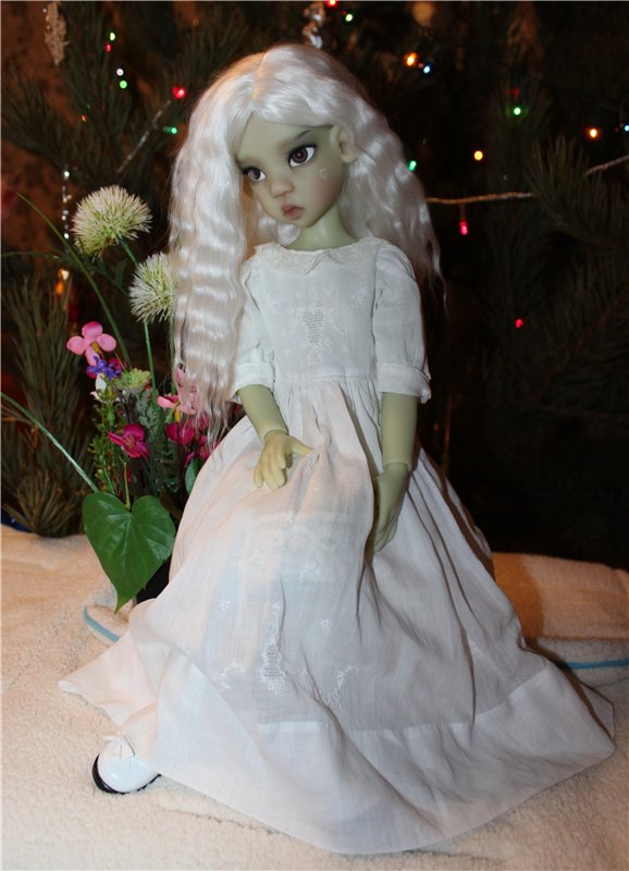 Мисс зима 2013-2014, участницы от Kaye Wiggs (фото 6)