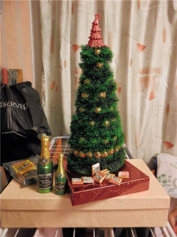 Сладкая елка в подарок — Другие хобби и увлечения: сад (фото 3)