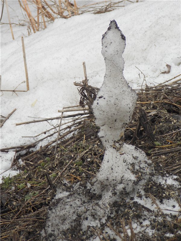 Гелькина прогулка (кукла Готц) (фото 3)