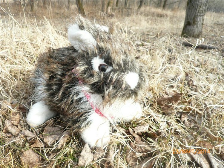 Предпраздничное настроение (фото 4)