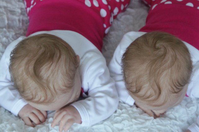 Одинаковые дочки... Куколки реборн Виктории Вишни