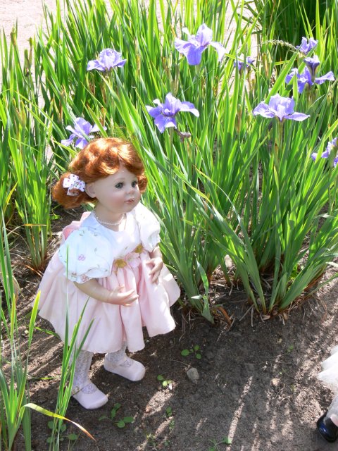 Продолжение прогулка в Ботаническом саду Санкт Петербурга. Часть 2. Иридарий | Бэйбики Продолжение прогулка в Ботаническом саду Санкт Петербурга. Часть 2. Иридарий (фото 10)