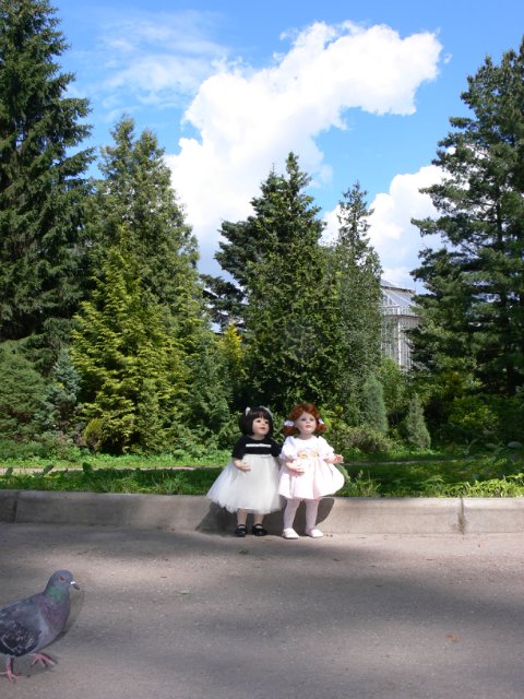 Прогулка в Ботаническом саду Санкт Петербурга. Часть 1. Пионарий | Бэйбики Прогулка в Ботаническом саду Санкт Петербурга. Часть 1. Пионарий