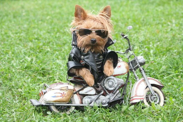 Понедельник - день тяжёлый | Бэйбики Понедельник - день тяжёлый