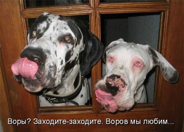 Понедельник - день тяжёлый | Бэйбики Понедельник - день тяжёлый