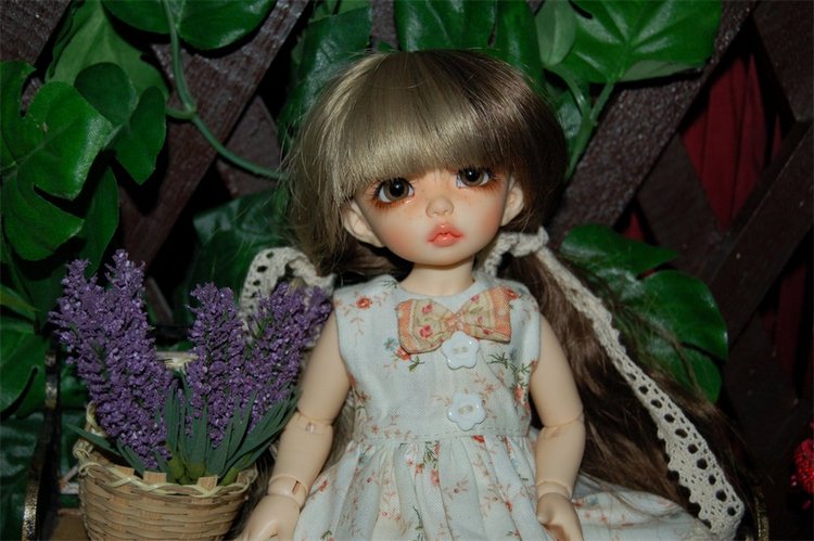 Новый наряд под новое личико. Fairland, Ante