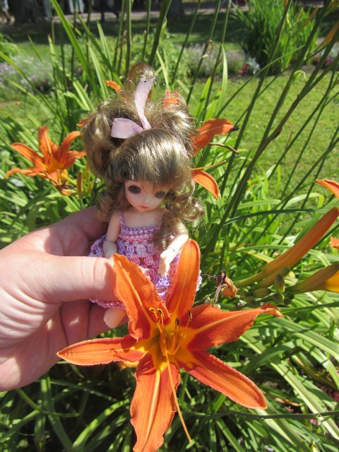 Путешествие, навеянное бебиками (фото 9)