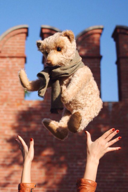 Медведь Бенедикт. Авторские мишки тедди Татьяны Матляк (фото 8)