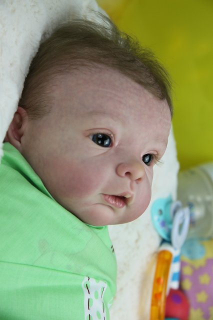 Софийкин! Кукленок реборн Виктории Вишни