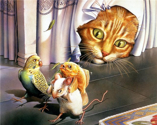 Кошачий позитив — Интересное и необычное: фотоподборки (фото 4)
