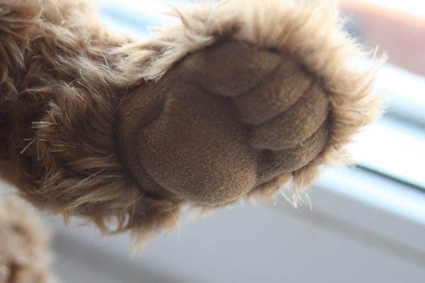 Мой Паркин (Parkin) от Charlie Bears (фото 8)