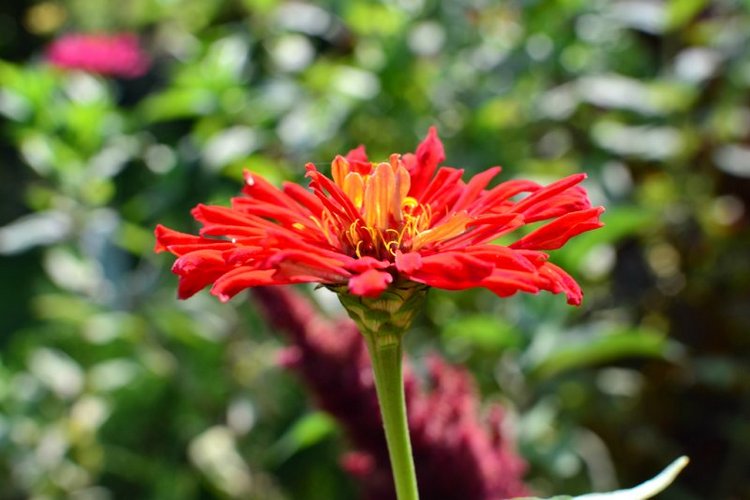 Осенние мотивы (любителям Юджин посвящается:)