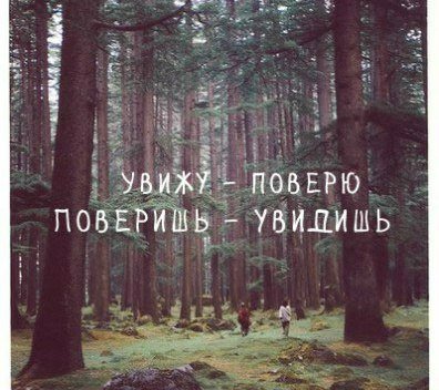 Процент атеистов зависит от обстоятельств или Возвращение святителя Луки Крымского (фото 2)