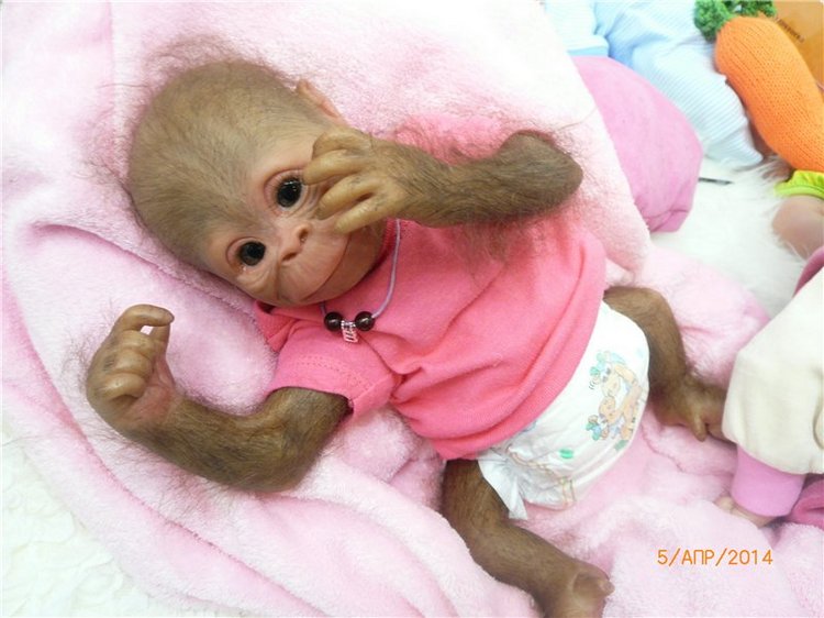 Субботний денёк. Кукла Zwergnase