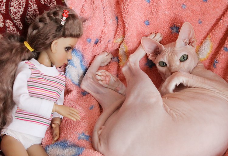 Знакомство Лолы, Kaye Wiggs