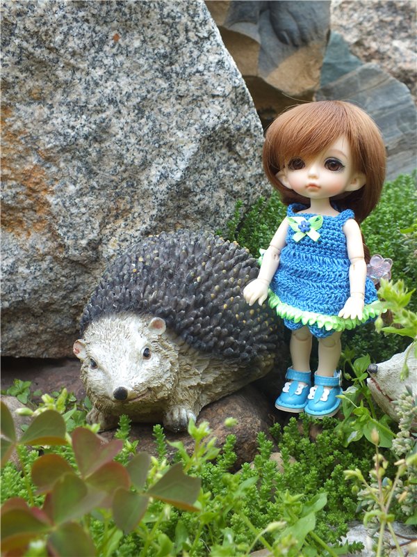 Моя сладкая и очень любимая Зойка.(PukiFee Zoe) (фото 6)