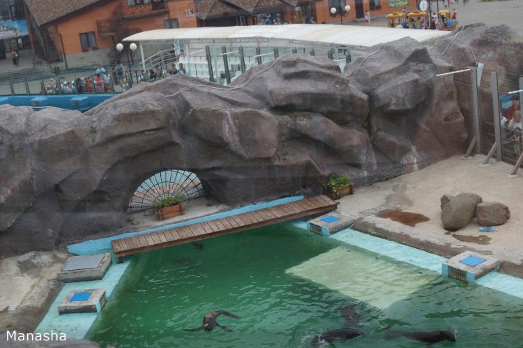 Как Майка в зоопарк ходила. pukiFee Ante Fairyland | Бэйбики Как Майка в зоопарк ходила. pukiFee Ante Fairyland (фото 4)