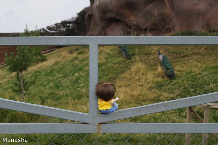 Как Майка в зоопарк ходила. pukiFee Ante Fairyland | Бэйбики Как Майка в зоопарк ходила. pukiFee Ante Fairyland