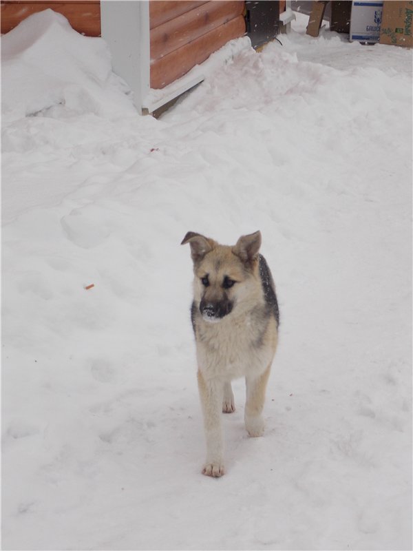Тропинки Куш - Тау или Варваркины выходные
