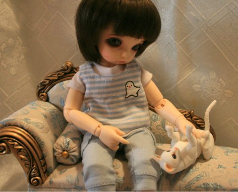 БЖД питомец - кот Као-Мани (фото 8)