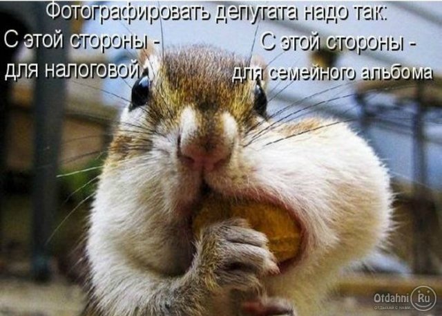 Море позитива) Для поднятия настроения (осторожно! много фото)))) | Бэйбики Море позитива) Для поднятия настроения (осторожно! много фото))))