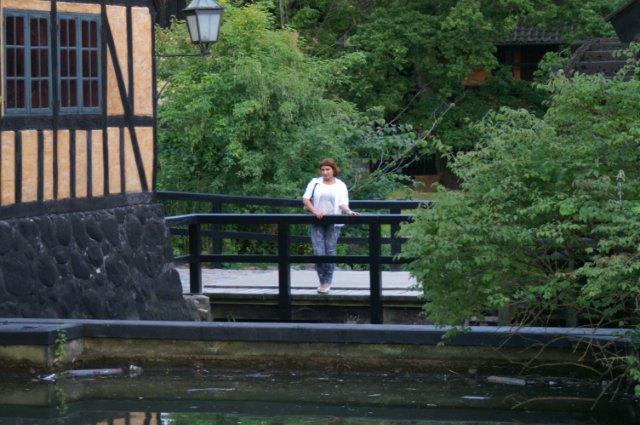 Den Gamle By - живая история Дании