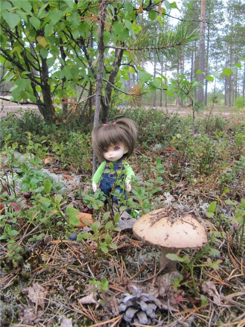 Как Майка за ягодами ходила. Кукла БЖД | Бэйбики Как Майка за ягодами ходила. Кукла БЖД