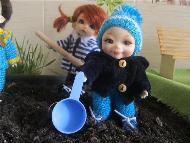 "Мастер-класс" по посадке огорода