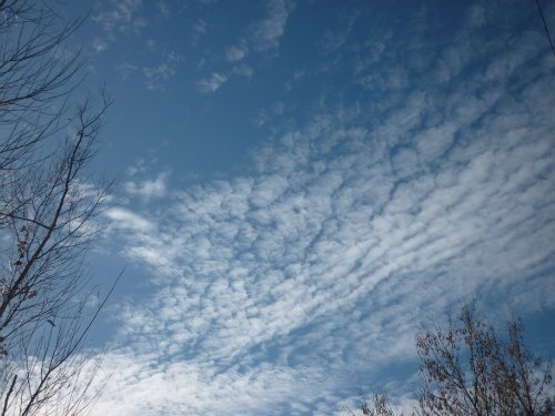 Золотая осень. Старый Оскол, Белгородская область (фото 5)