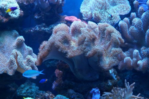 Воронежский океанариум — Туризм и путешествия: фотоотчеты из поездок