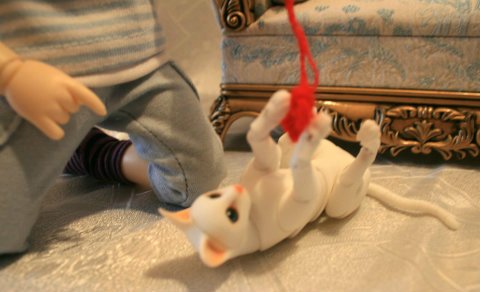 БЖД питомец - кот Као-Мани (фото 7)