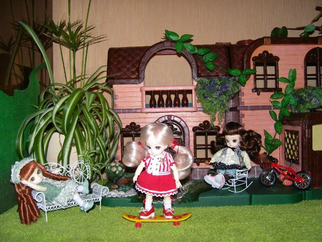 В моем новом домике новоселы