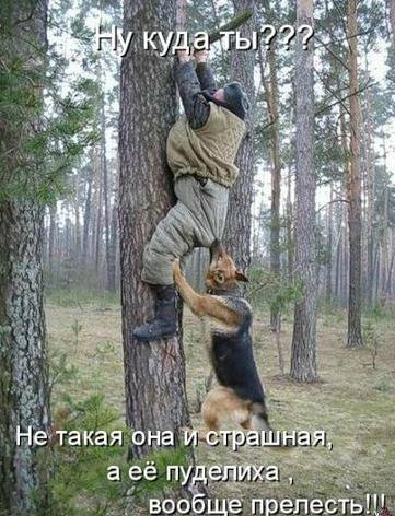 Понедельник - день тяжёлый | Бэйбики Понедельник - день тяжёлый (фото 4)