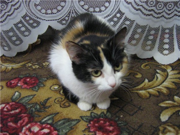 Субботний выпуск. Мы все тут...пока все)))