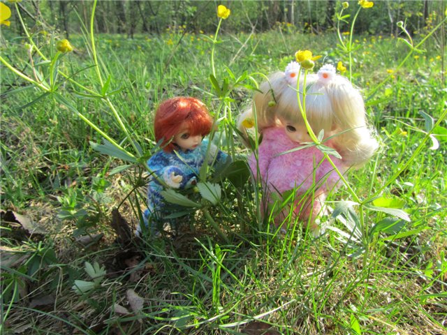 Весенний день... или как девочки ходили на пикник.№2