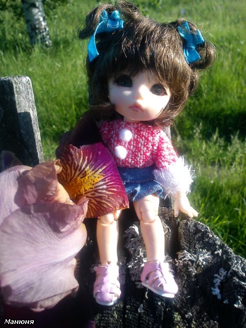 Манюнькино лето-1 PukiFee Ante (фото 3)